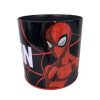 Gim Μολυβοθήκη Spiderman 337-75300